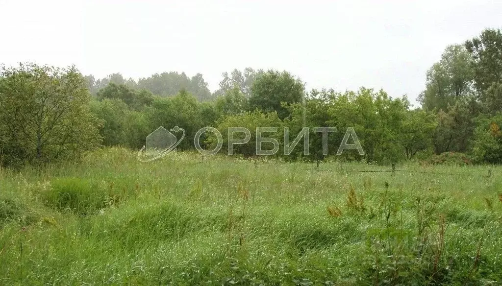 Участок в Тюменская область, Нижнетавдинский район, с. Тюнево  (10.0 ... - Фото 0