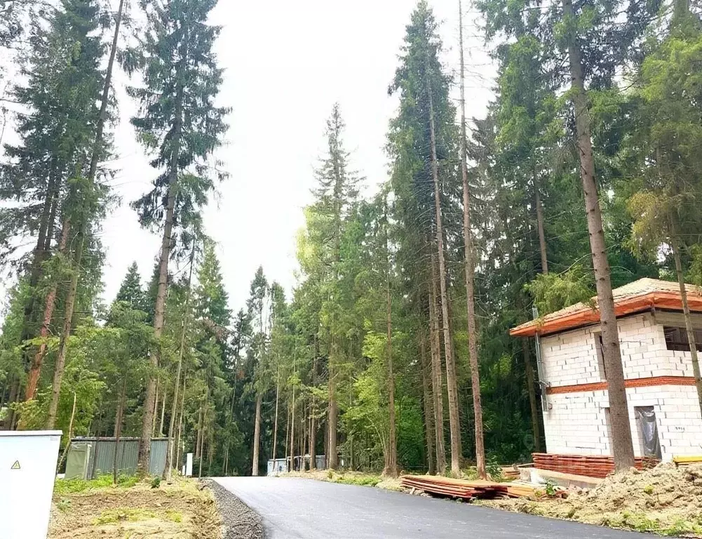 Участок в Московская область, Звенигород Одинцовский городской округ,  ... - Фото 2