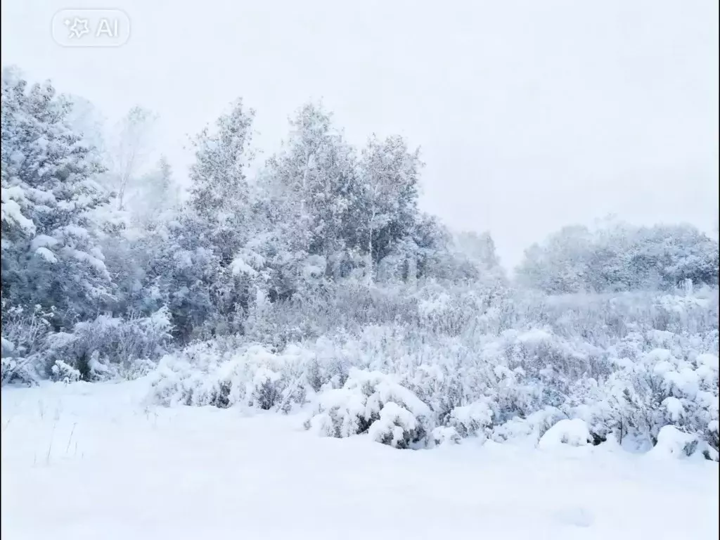 Участок в Свердловская область, Горноуральский муниципальный округ, с. ... - Фото 2
