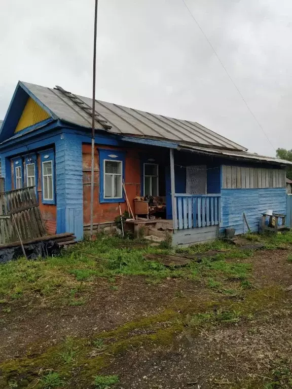 Дом в Татарстан, Альметьевский район, Нижнеабдуловское с/пос, с. ... - Фото 2