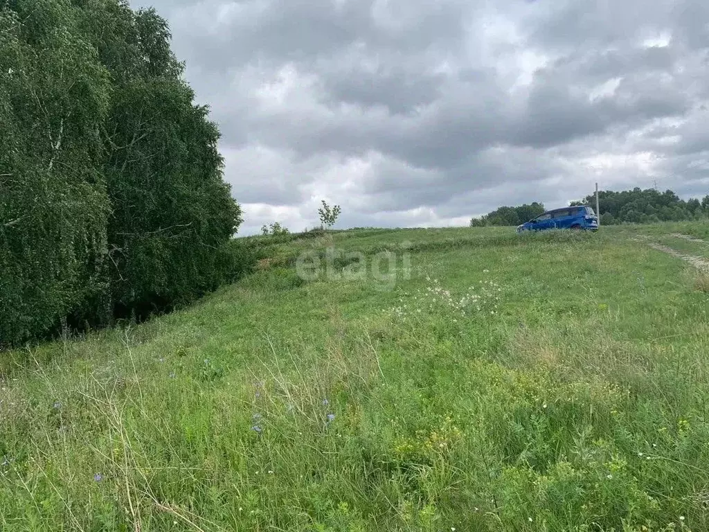 Участок в Алтайский край, Барнаул городской округ, Поселок Казенная ... - Фото 0