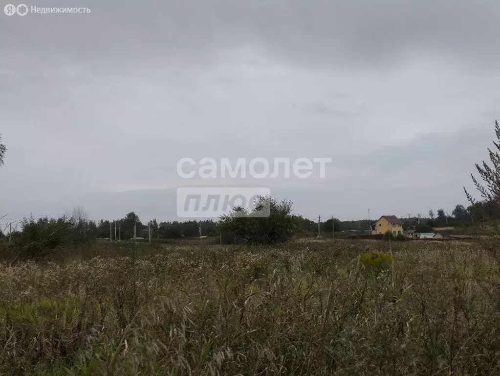 Участок в Смоленский муниципальный округ, деревня Кощино (10 м) - Фото 1