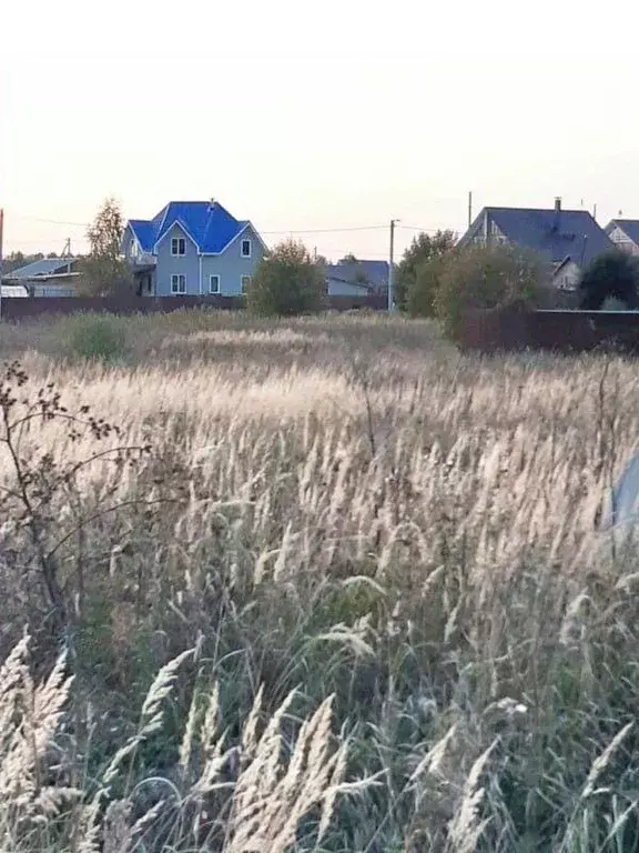 Участок, 15 сот., поселения (ижс) - Фото 1