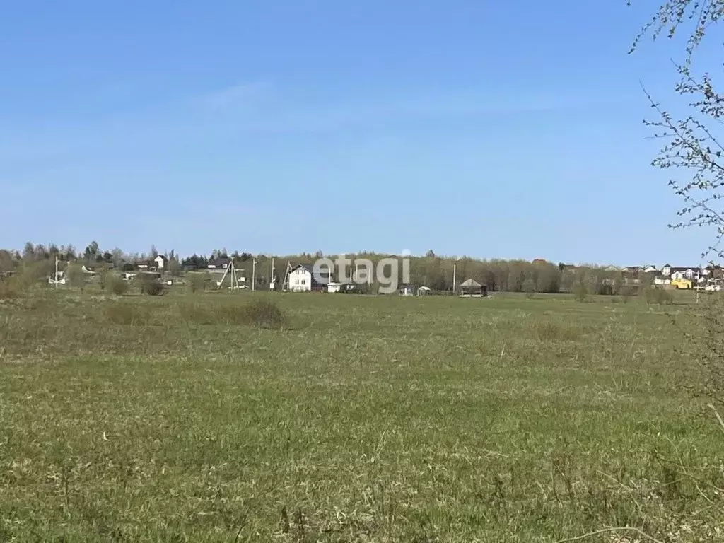 Участок в Ленинградская область, Всеволожский район, Романовское ... - Фото 0