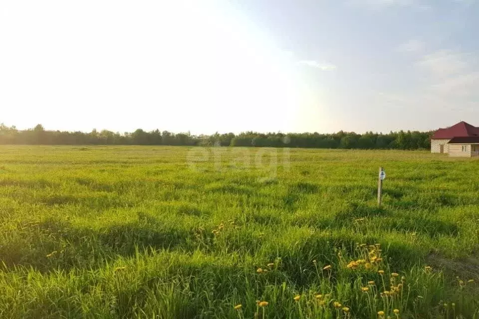 Участок в село Косырёвка, Серебряная улица (19 м) - Фото 2