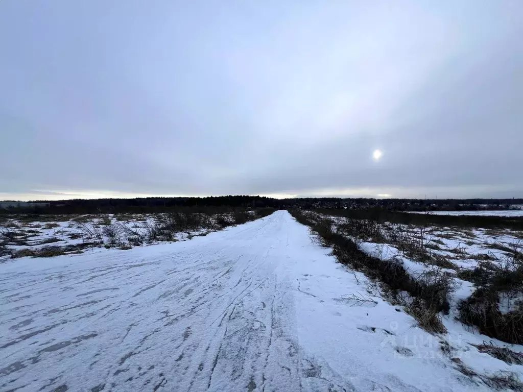 Участок в Московская область, Домодедово городской округ, с. ... - Фото 1