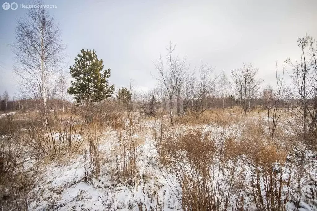 Участок в станция Евсино, Трактовая улица (15 м) - Фото 1