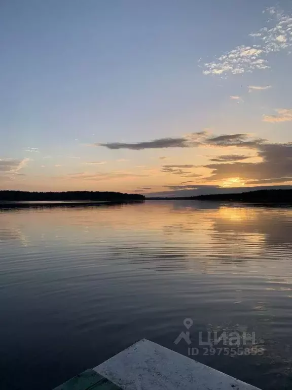 Участок в Ярославская область, Угличский муниципальный округ, д. ... - Фото 1