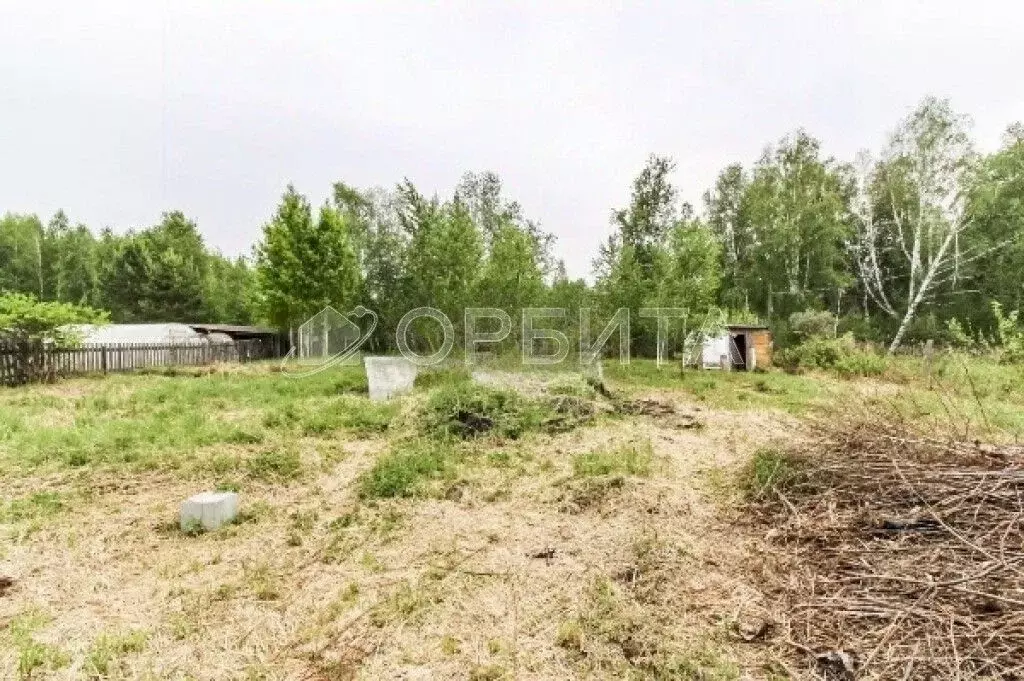 Участок в Тюменская область, Нижнетавдинский муниципальный округ, ... - Фото 2