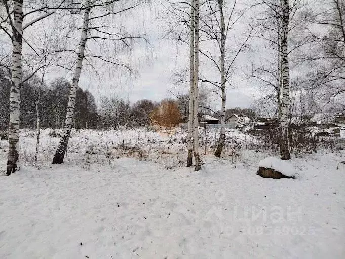 Участок в Московская область, Чехов городской округ, д. Хлевино 17 ... - Фото 0