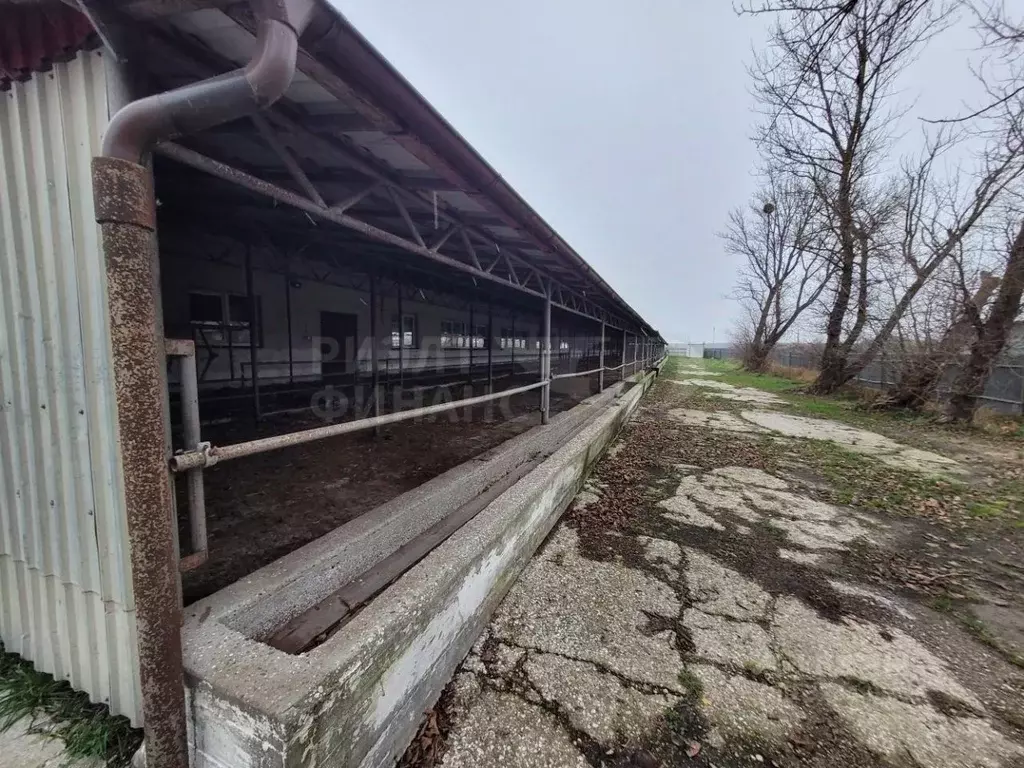 Производственное помещение в Калининградская область, Зеленоградский ... - Фото 2