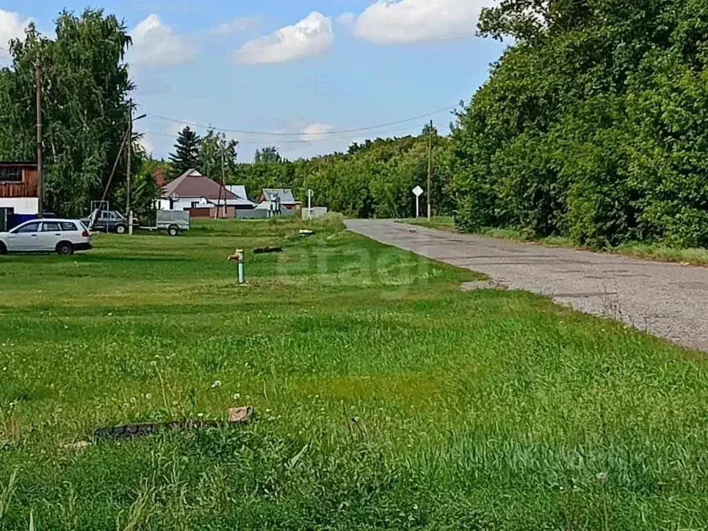 Участок в Алтайский край, с. Романово ул. Фрунзенская, 77 (36.2 сот.) - Фото 1