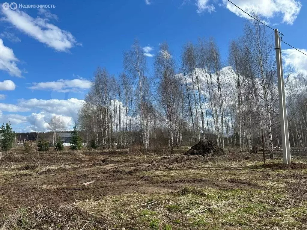 Участок в Ивановский район, Беляницкое сельское поселение, деревня ... - Фото 0