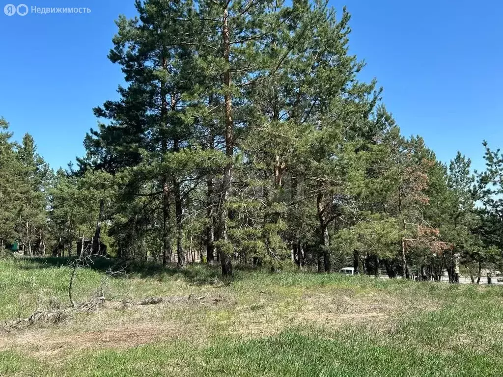 Участок в Новоподклетное, Первомайская улица (8 м) - Фото 0