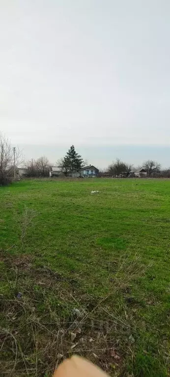 Участок в Ростовская область, Октябрьский район, Бессергеневское ... - Фото 0