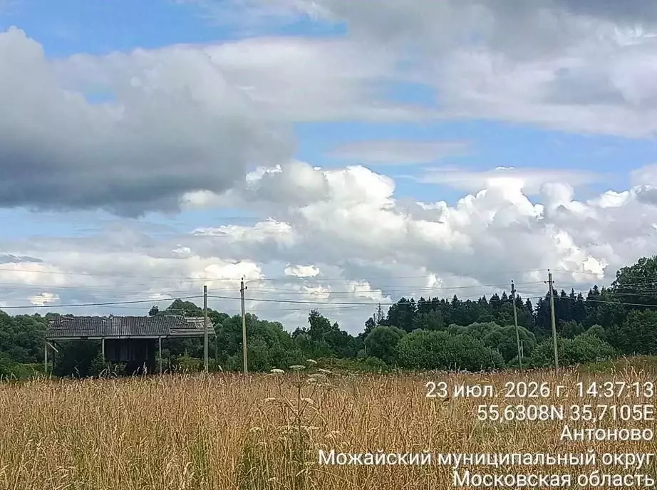 Участок в Московская область, Можайский муниципальный округ, д. ... - Фото 1