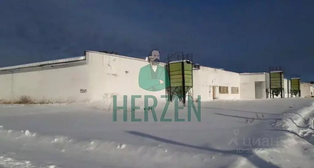 Производственное помещение в Московская область, Клин городской округ, ... - Фото 1