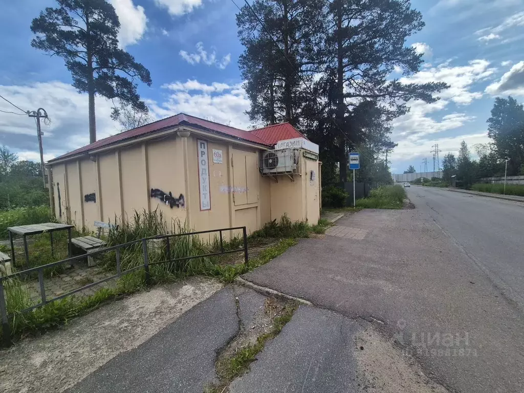 Торговая площадь в Ленинградская область, Тосненский район, ... - Фото 1