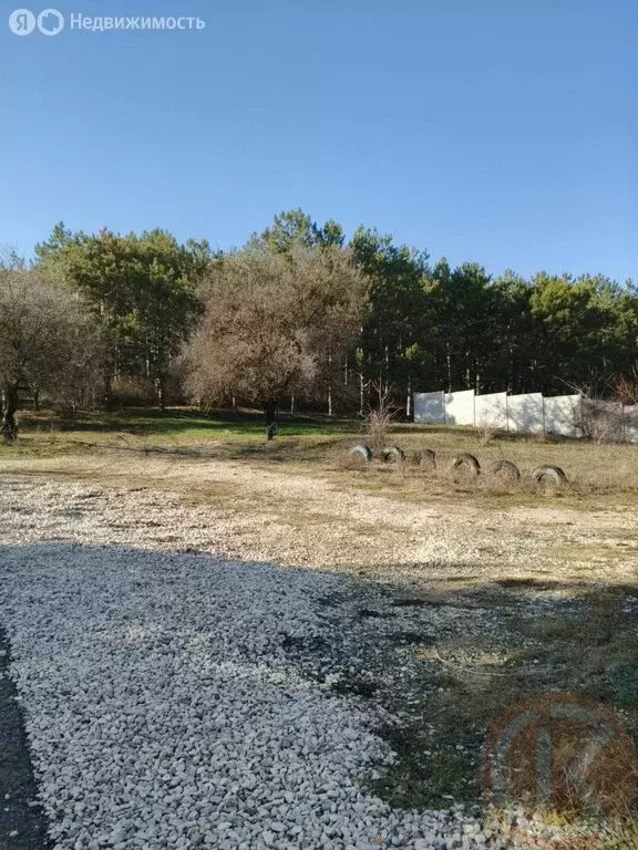 Участок в Трудовское сельское поселение, село Строгоновка (10 м) - Фото 2