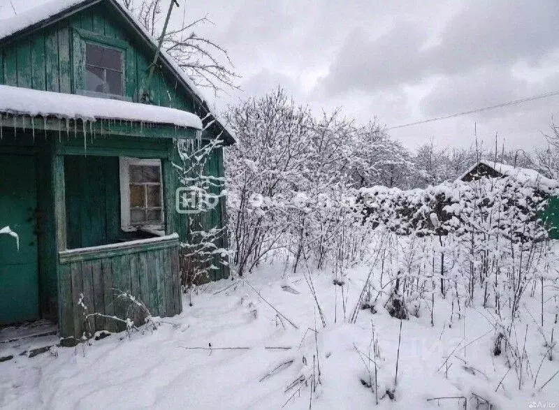 Участок в Рязанская область, Рязань Стройдеталь-2 СТ, 1 (6.9 сот.) - Фото 2