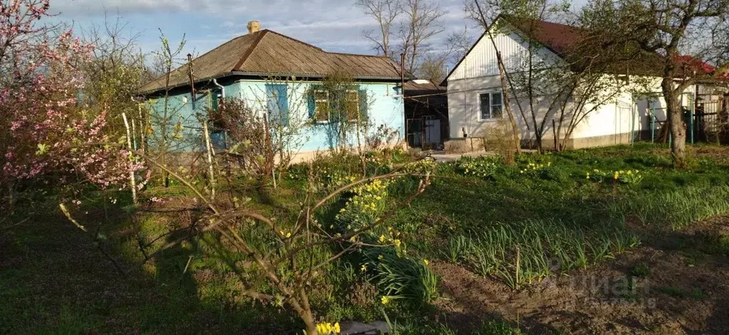 Купить Дом В Станице Кужорская