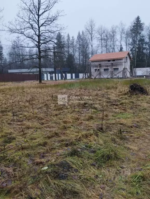 Участок в Московская область, Наро-Фоминский городской округ, ДСК ... - Фото 2