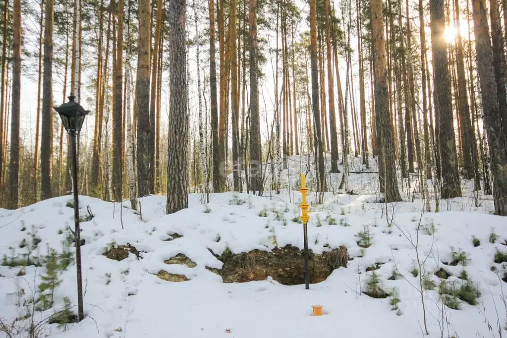 Участок в Свердловская область, Сысертский муниципальный округ, ... - Фото 1