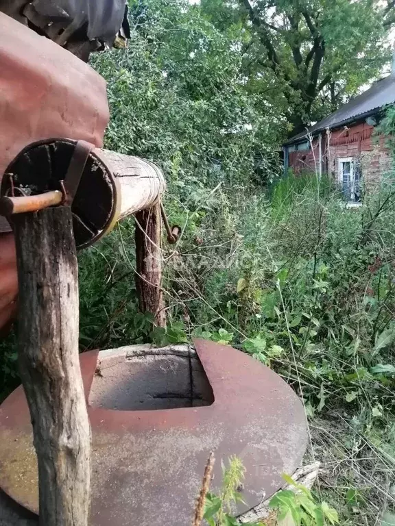 Участок в Воронежская область, Семилукский район, с. Землянск ул. ... - Фото 1
