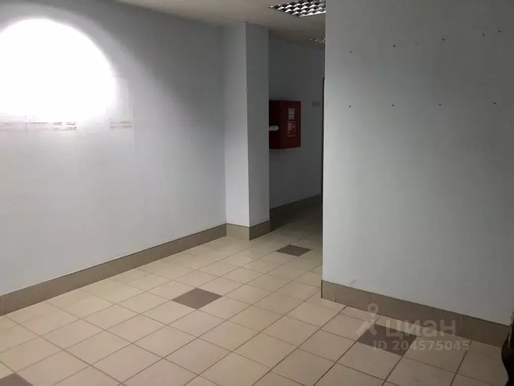 Офис в Волгоградская область, Волгоград Грушевская ул., 10 (217 м) - Фото 2