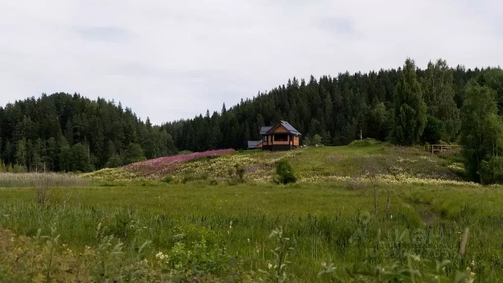 Дом в Карелия, Лахденпохский муниципальный округ  (65 м) - Фото 0