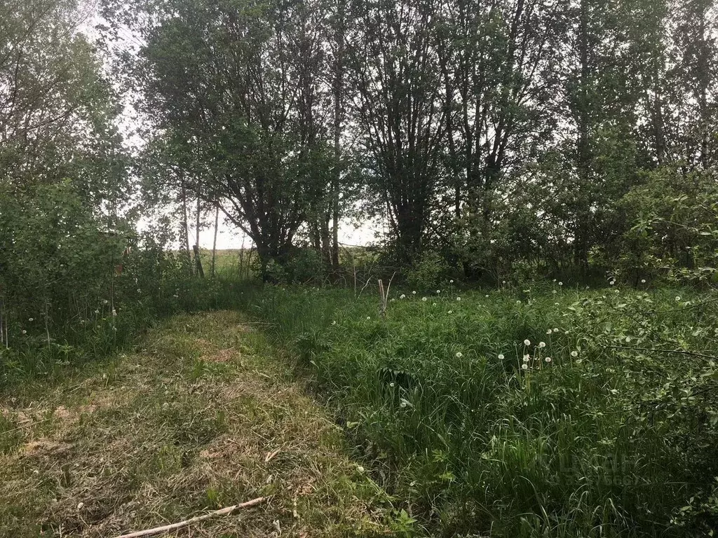 Участок в Московская область, Сергиево-Посадский городской округ, ... - Фото 1