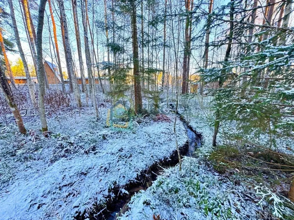 Участок в Ленинградская область, Приозерский район, Ромашкинское ... - Фото 1