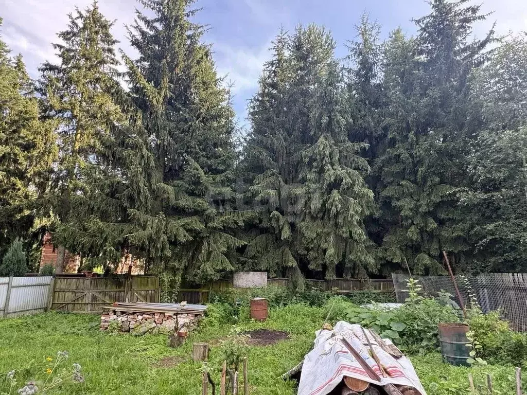Участок в Московская область, Раменский муниципальный округ, Кратово ... - Фото 1