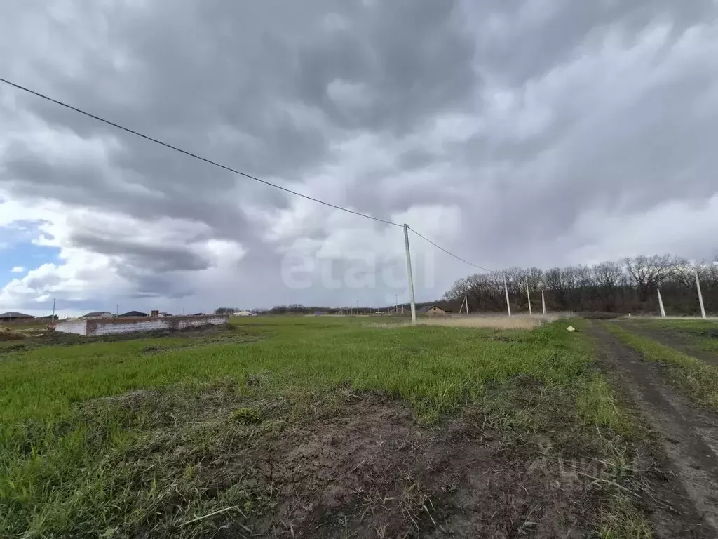 Участок в Белгородская область, Белгородский район, с. Стрелецкое 575 ... - Фото 2