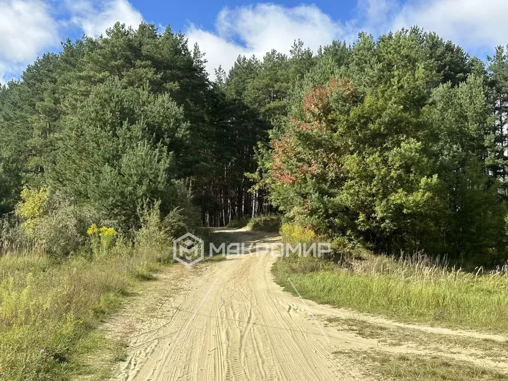 Дом в Брянская область, Брянский район, Новодарковичское с/пос, пос. ... - Фото 0