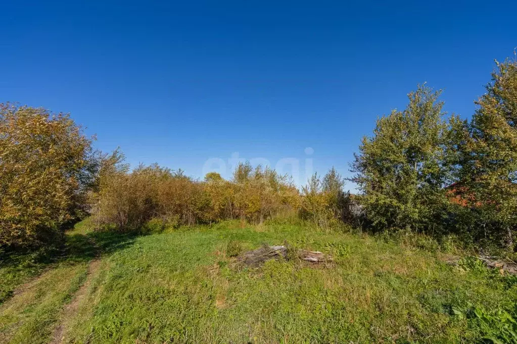 Участок в Хабаровский край, Хабаровский район, с. Ракитное  (5.5 сот.) - Фото 1