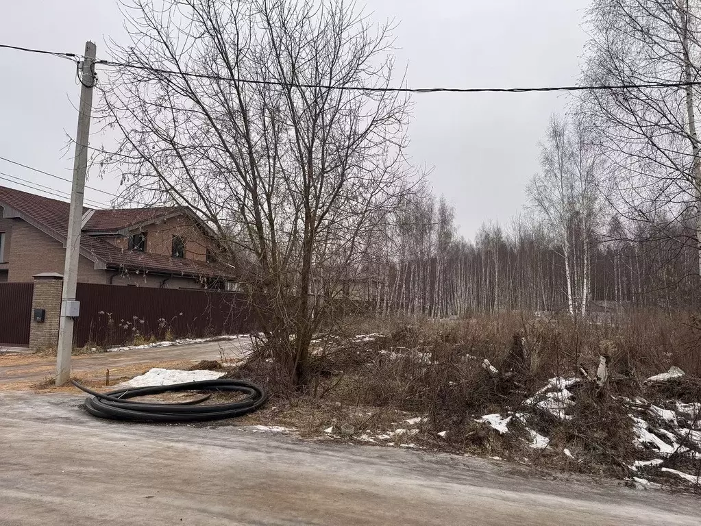 Участок в Московская область, Ногинск Богородский городской округ, с. ... - Фото 1