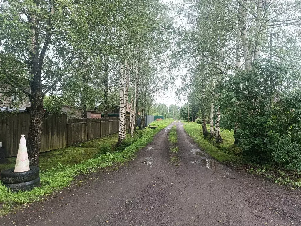 Участок в Новоселицы, Луговая улица (38 м) - Фото 0