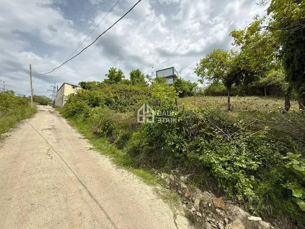 Участок в Краснодарский край, Сочи Черноморец садовое товарищество, 38 ... - Фото 1