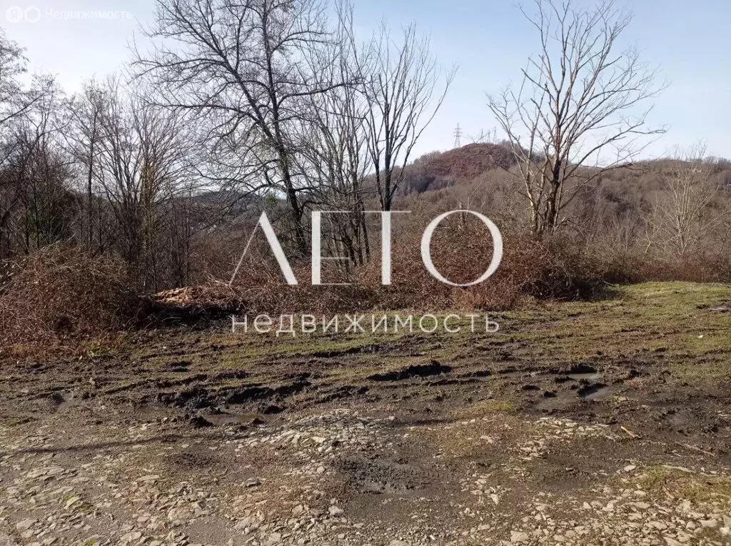 Участок в Хоста, Дачная улица (17 м) - Фото 1