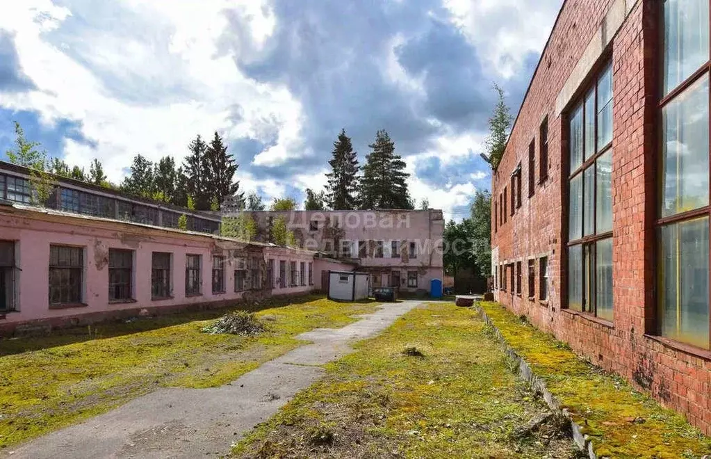 Производственное помещение в Новгородская область, Великий Новгород ... - Фото 1