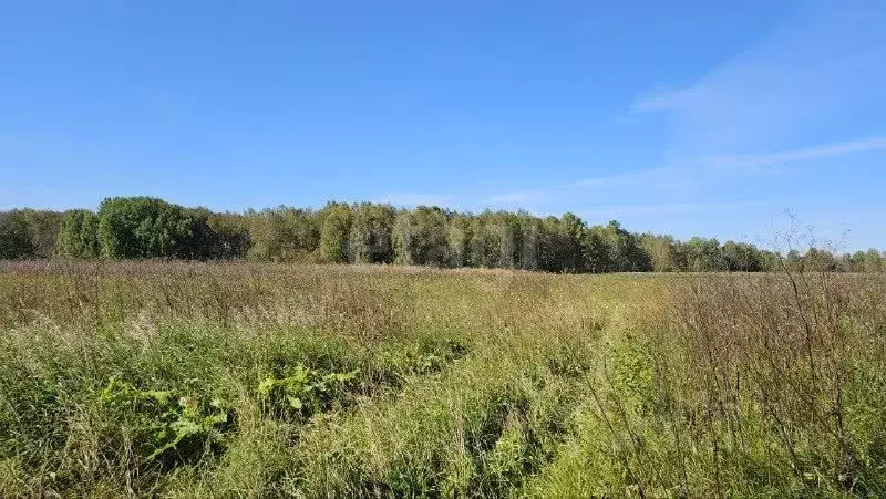 Участок в Тюменская область, Нижнетавдинский муниципальный округ, ... - Фото 1