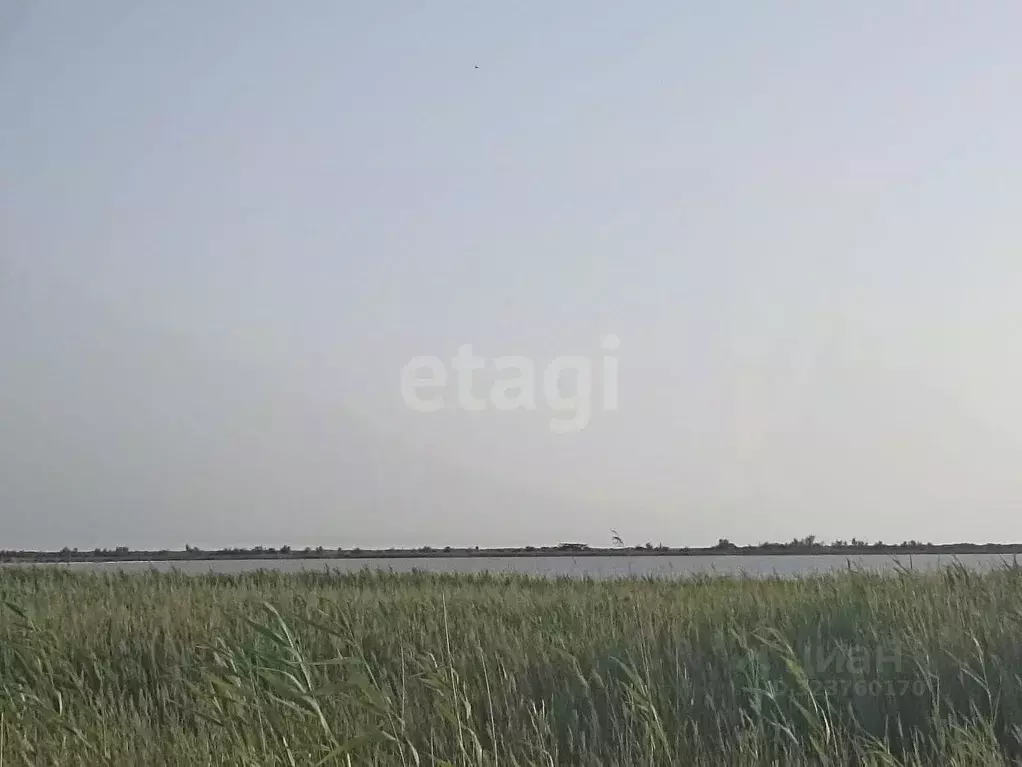 Участок в Крым, Сакский район, с. Штормовое ул. Интернациональная ... - Фото 2