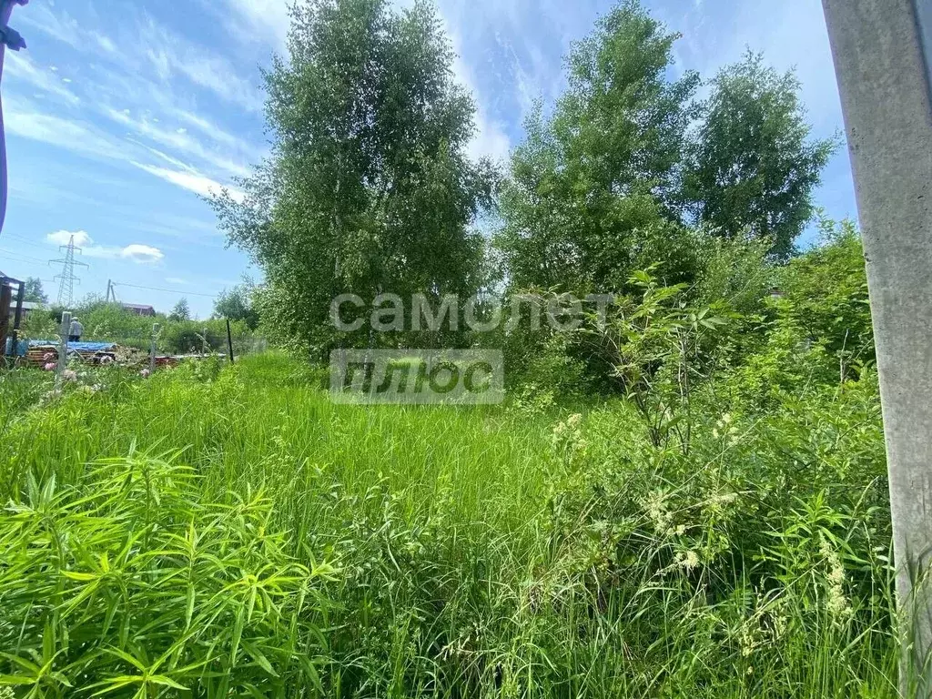 Участок в Татарстан, Казань Сирень-ГИПО СНТ, 2-й кв-л,  (6.0 сот.) - Фото 2
