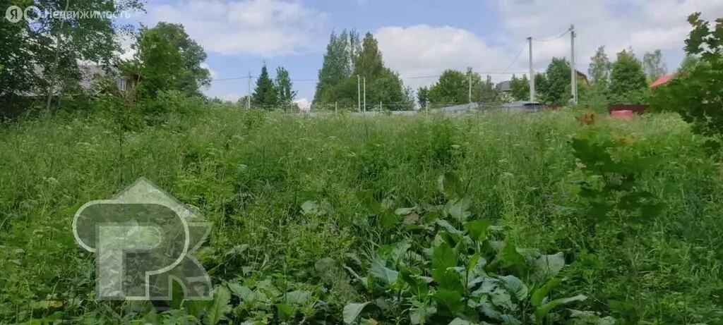 Участок в Сергиево-Посадский городской округ, деревня Шильцы (15 м) - Фото 2