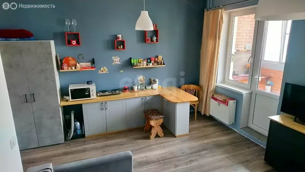 Квартира-студия: Петергоф, Парковая улица, 14к4 (23.9 м) - Фото 2