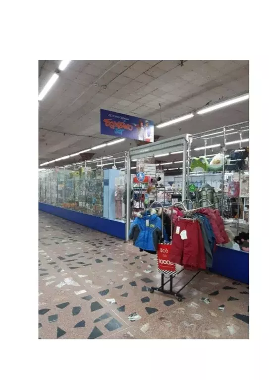 Помещение свободного назначения в Новосибирская область, Новосибирский ... - Фото 1