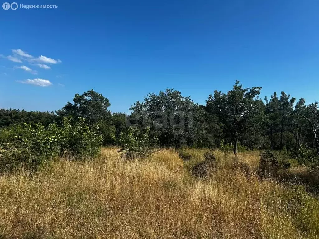 Участок в Краснодарский край, Геленджик (25 м) - Фото 0
