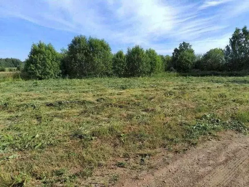 Участок в Кировская область, Киров городской округ, д. Петуховы 8 (9.0 ... - Фото 0