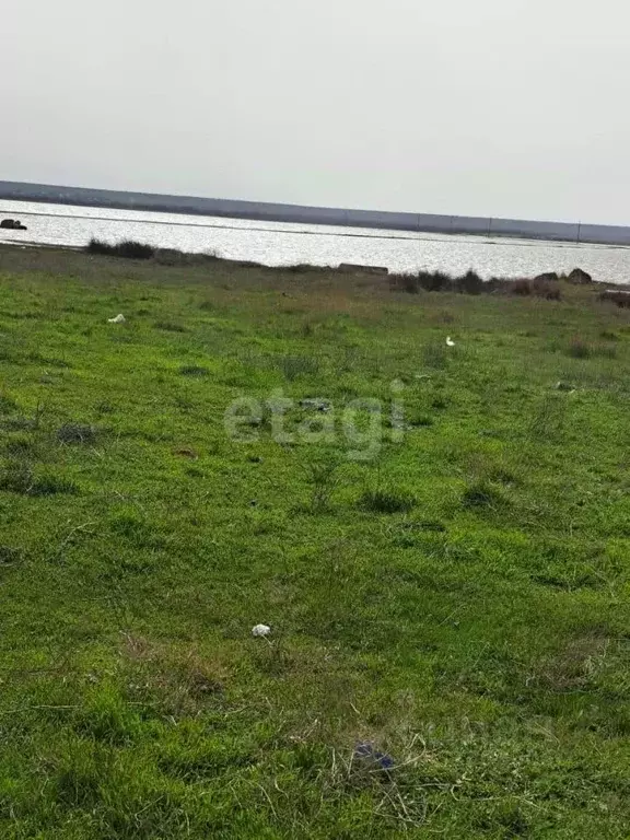 Участок в Крым, Черноморский район, с. Межводное пл. Центральная (10.0 ... - Фото 0